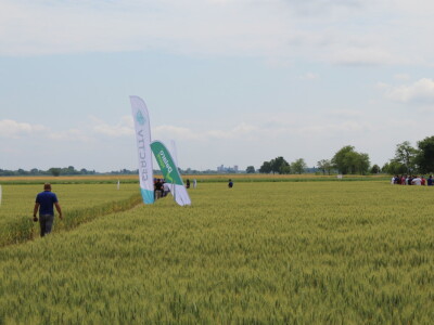 Dani polja tvrtke Timac Agro