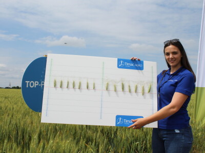 Dani polja tvrtke Timac Agro