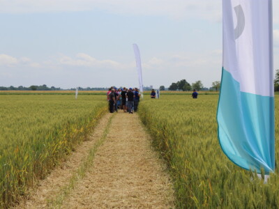 Dani polja tvrtke Timac Agro