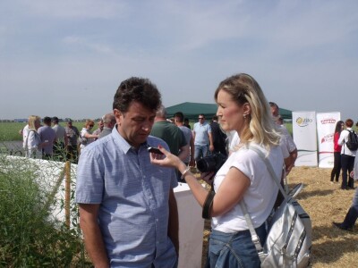 Dani polja uljane repice