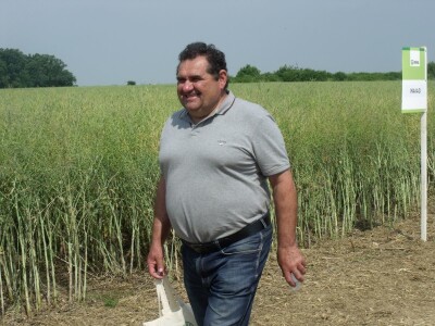 Dani polja uljane repice