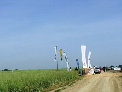 Dani polja uljane repice