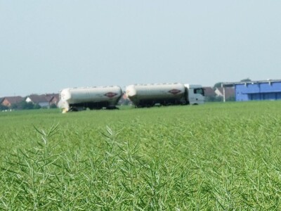 Dani polja uljane repice