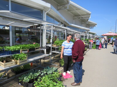 Dani rasada u Prijedoru