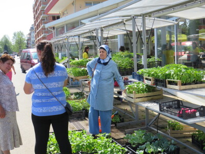 Dani rasada u Prijedoru