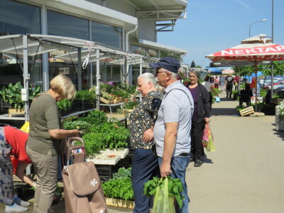 Dani rasada u Prijedoru