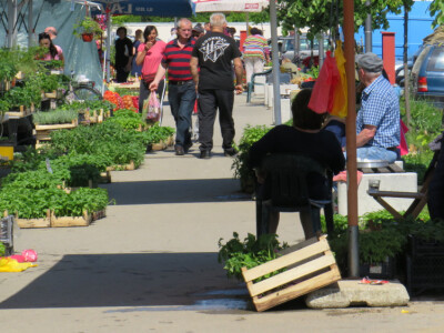 Dani rasada u Prijedoru