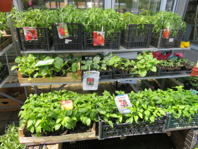 Dani rasada u Prijedoru