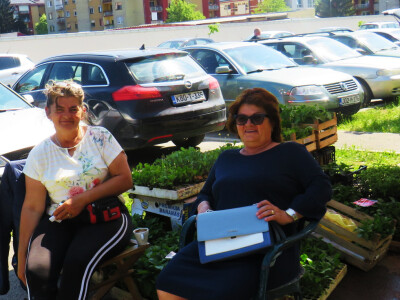 Dani rasada u Prijedoru