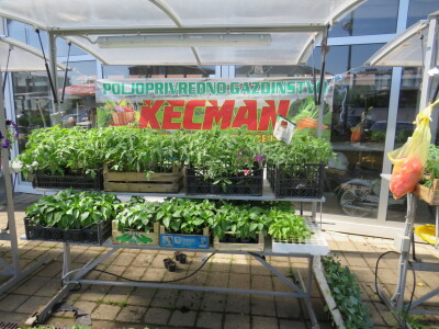 Dani rasada u Prijedoru