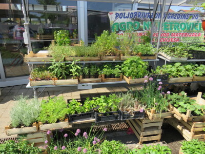 Dani rasada u Prijedoru