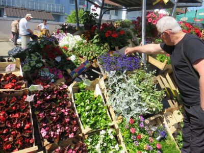 Dani rasada u Prijedoru