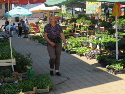 Dani rasada u Prijedoru