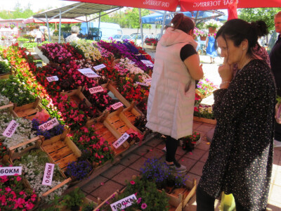 Dani rasada u Prijedoru