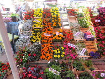 Dani rasada u Prijedoru