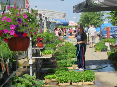 Dani rasada u Prijedoru