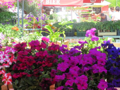 Dani rasada u Prijedoru