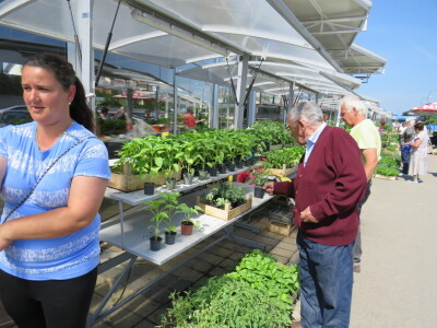 Dani rasada u Prijedoru