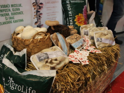 Dani šljive gradačac 2021