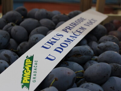 Dani šljive Gradačac 2021