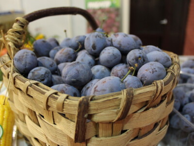 Dani šljive Gradačac 2021