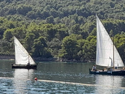 Dani u vali i ribarski brodovi