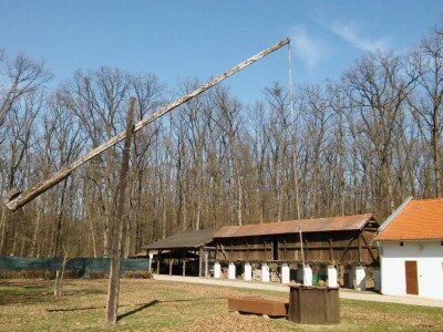 Dani UHPA-e 2019. u Vinkovcima