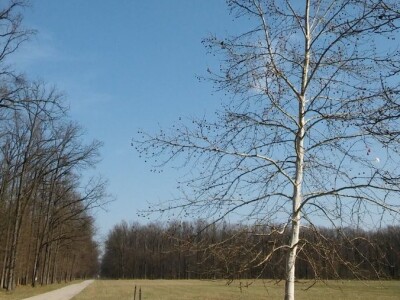 Dani UHPA-e 2019. u Vinkovcima