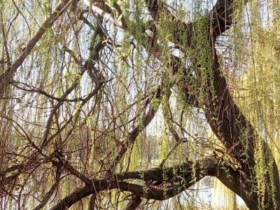 Dani UHPA-e 2019. u Vinkovcima