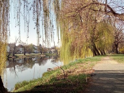 Dani UHPA-e 2019. u Vinkovcima