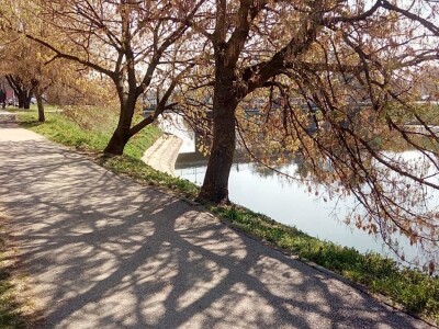 Dani UHPA-e 2019. u Vinkovcima