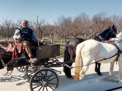 Dani UHPA-e 2019. u Vinkovcima