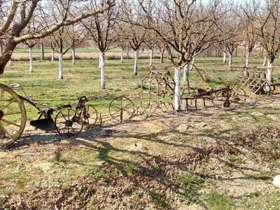 Dani UHPA-e 2019. u Vinkovcima