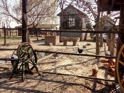 Dani UHPA-e 2019. u Vinkovcima