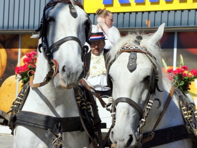 8. Dani vina, turizma i cikloturizma!