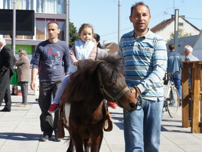 8. Dani vina, turizma i cikloturizma!