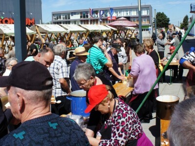 8. Dani vina, turizma i cikloturizma!