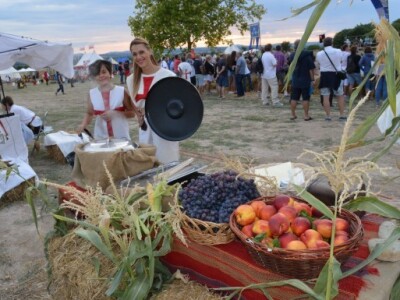 Dani vitezova vranskih 2015.