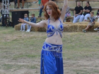 Dani vitezova vranskih 2015.