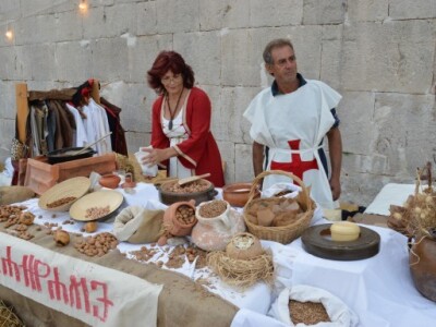 Dani vitezova vranskih 2015.