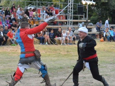 Dani vitezova vranskih 2015.