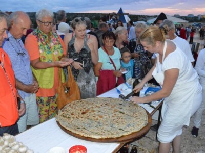 Dani vitezova vranskih 2015.