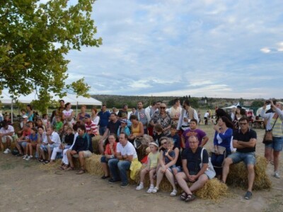 Dani vitezova vranskih 2015.