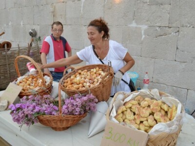 Dani vitezova vranskih 2015.