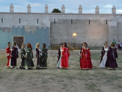 Dani vitezova vranskih 2015.