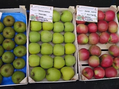 Dani voća Potkozarje 2024