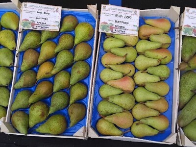 Dani voća Potkozarje 2024