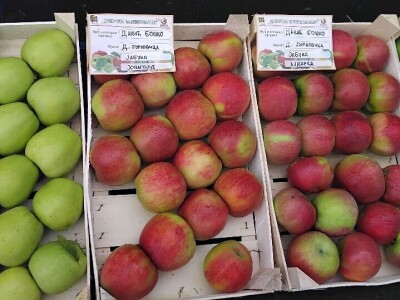 Dani voća Potkozarje 2024