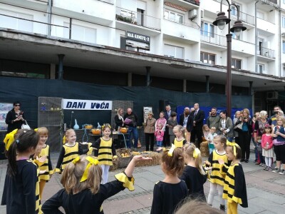 Dani voća u Brčkom