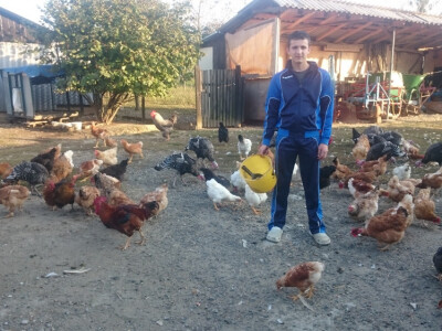 Daniel Mrmak Daniel Mrmak